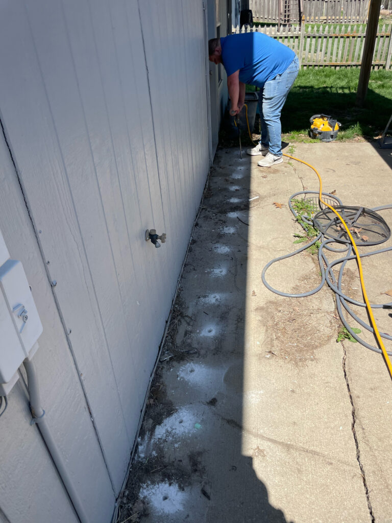 Termite treatment