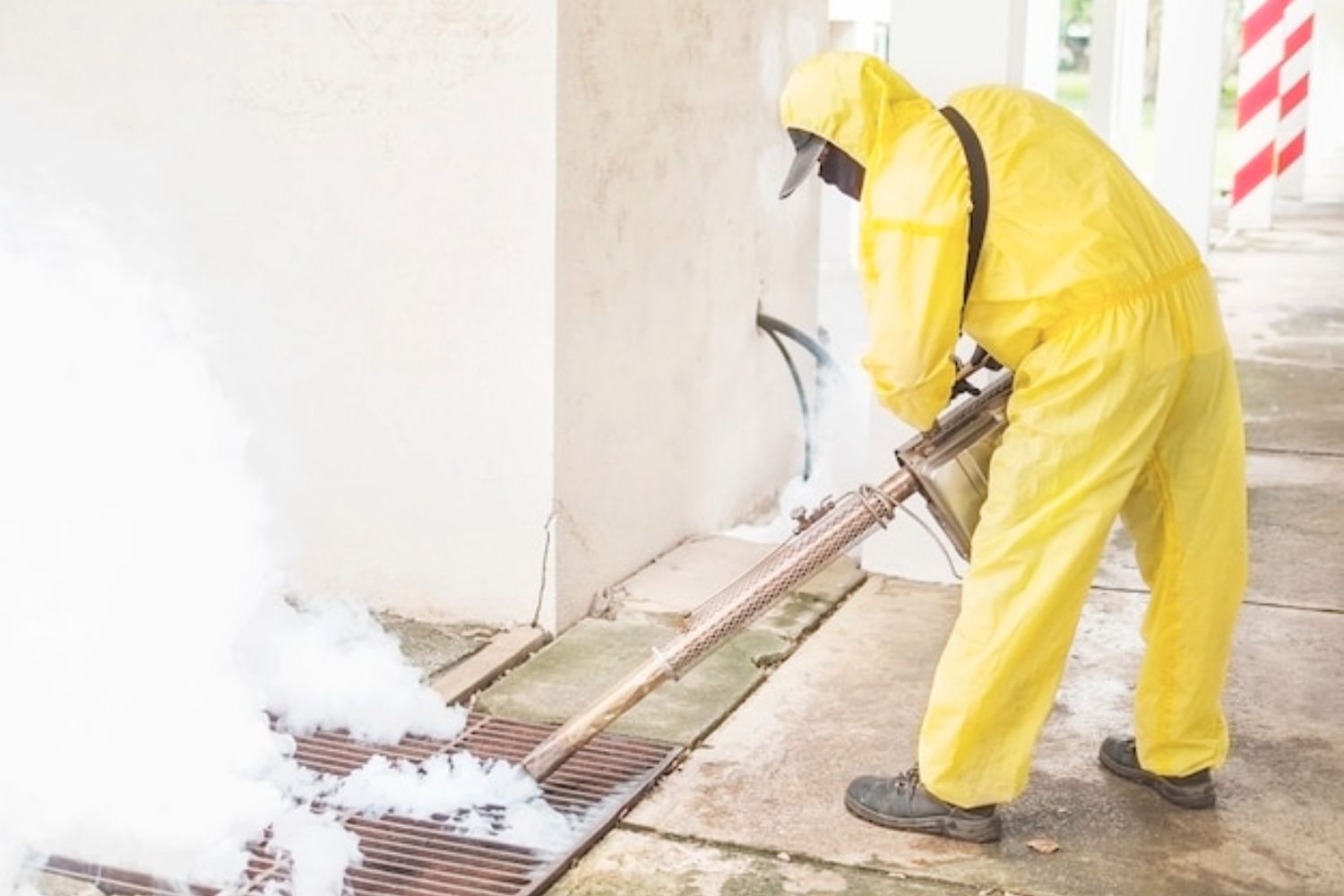 Commercial Pest Control